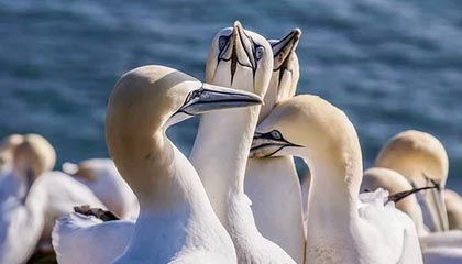 PG官方平台——开启您的极致娱乐体验